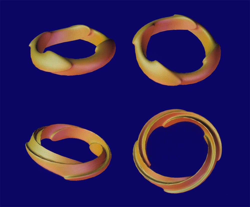 Dolphin Rings